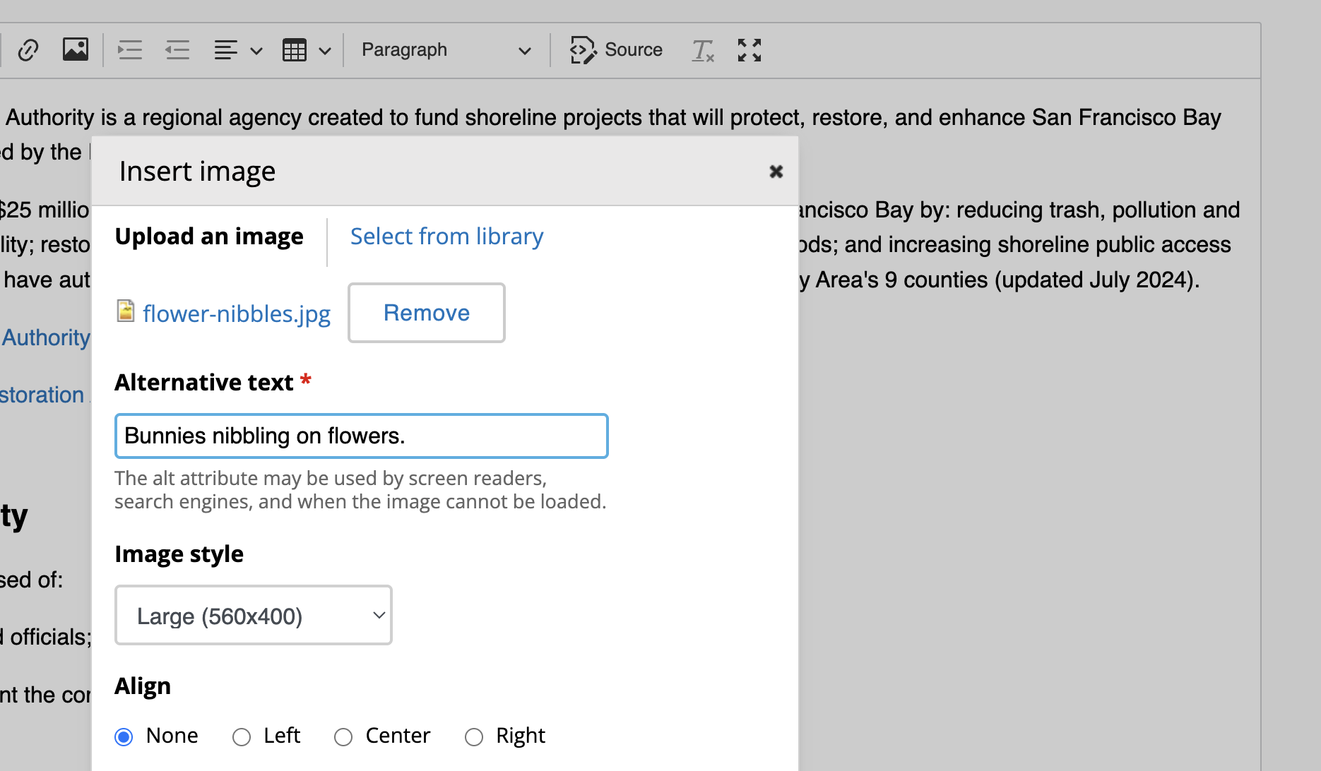 New Image Style option in the image dialog.