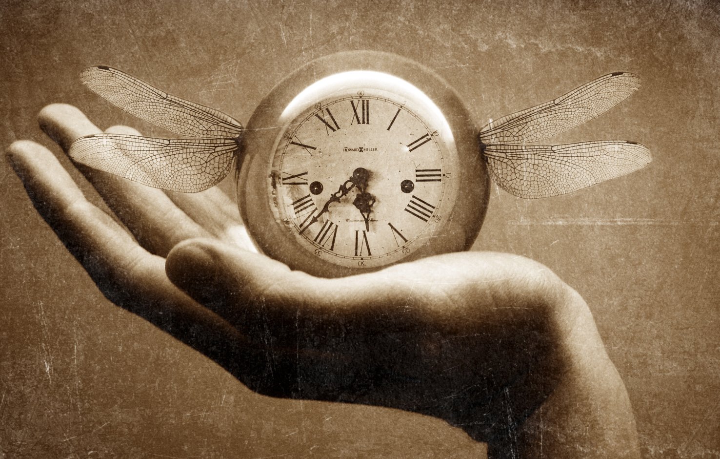 A hand, holding a clock with wings. Holding on to elusive time.