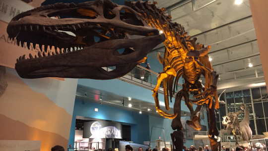 T-rex skeleton from the Lullabot / Pantheon Party held at the Baltimore Science Center