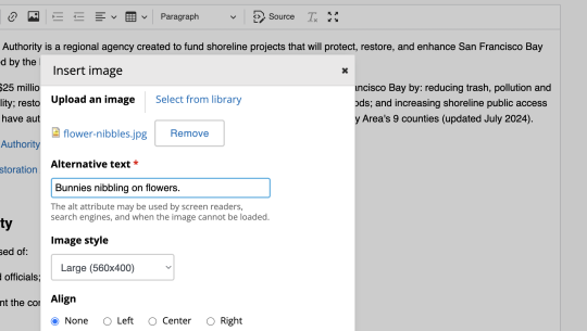 New Image Style option in the image dialog.