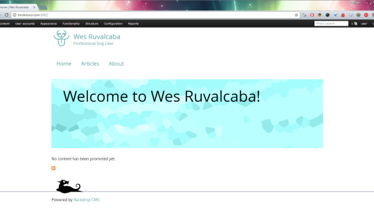 Sub-theming with Basis
